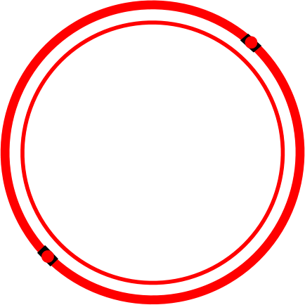 N W Store